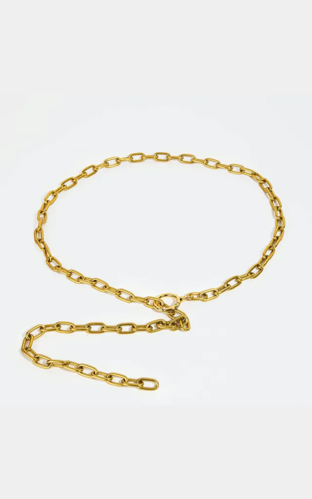 Carol Matte Chain Link Belt