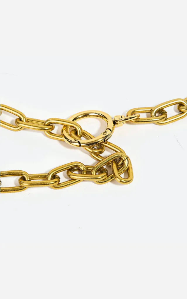 Carol Matte Chain Link Belt