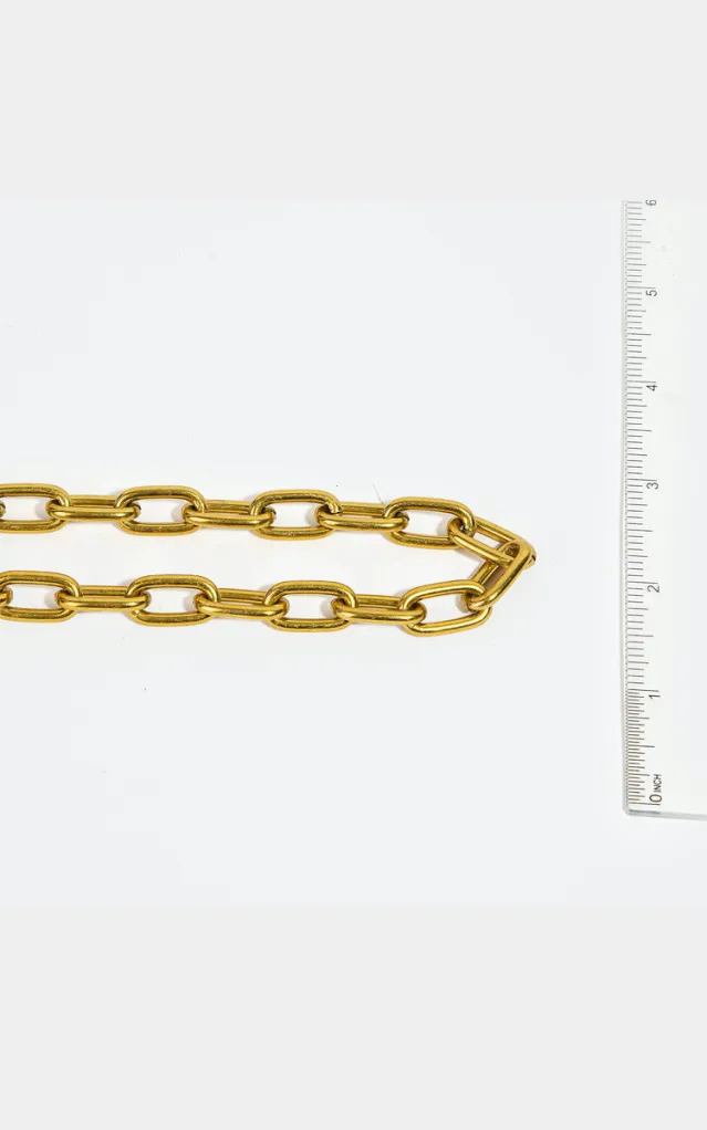 Carol Matte Chain Link Belt