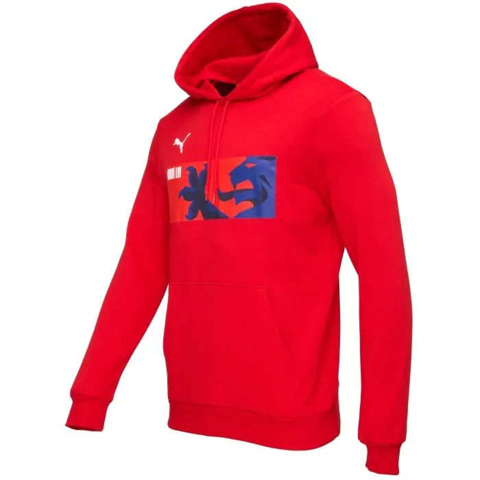 Puma TEAMGOAL 23 CAUSALS HOODY