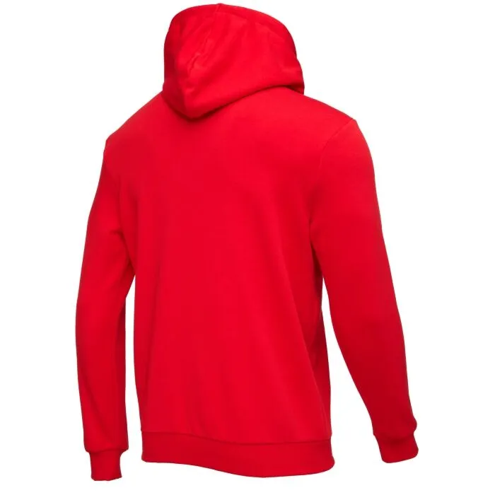 Puma TEAMGOAL 23 CAUSALS HOODY