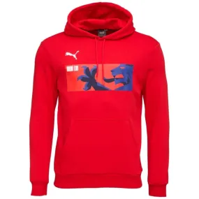 Puma TEAMGOAL 23 CAUSALS HOODY